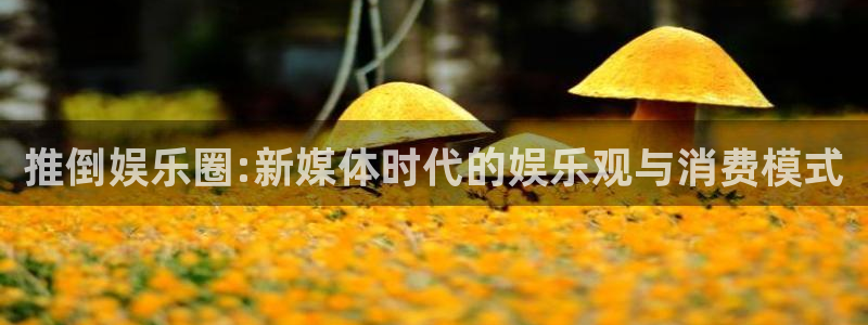 bb电子下载
