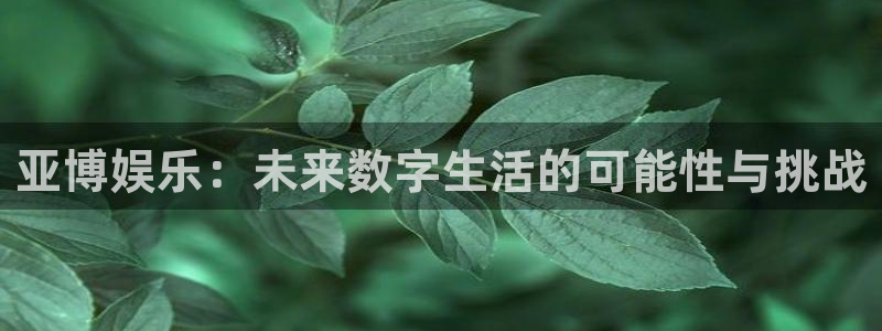 bb电子游戏