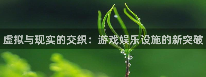 bb电子游戏